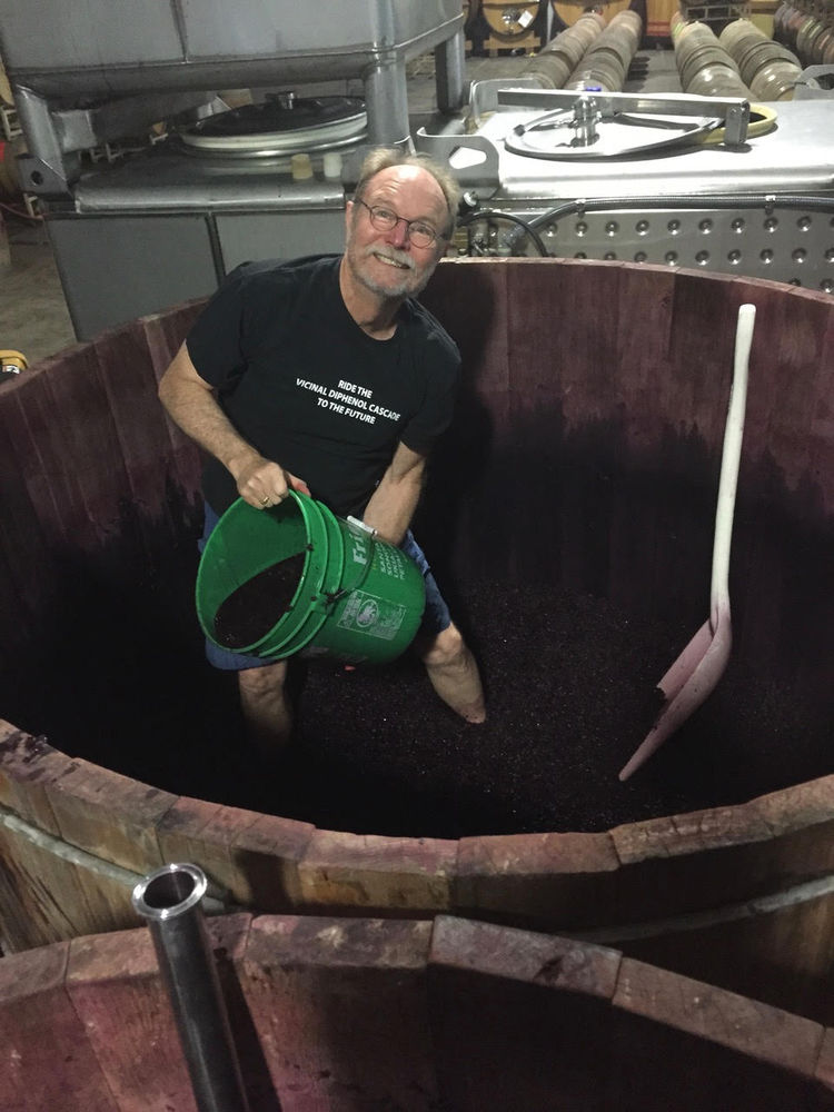 Once & Future founder and winemaker Joel Peterson, digging out a redwood fermenter wearing his harvest t-shirt saying, “Ride the Vicinal Diphenol Cascade to the Future.”